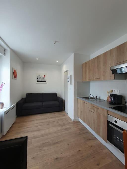 Studio Coquelicot Apartment Nancy Exterior photo